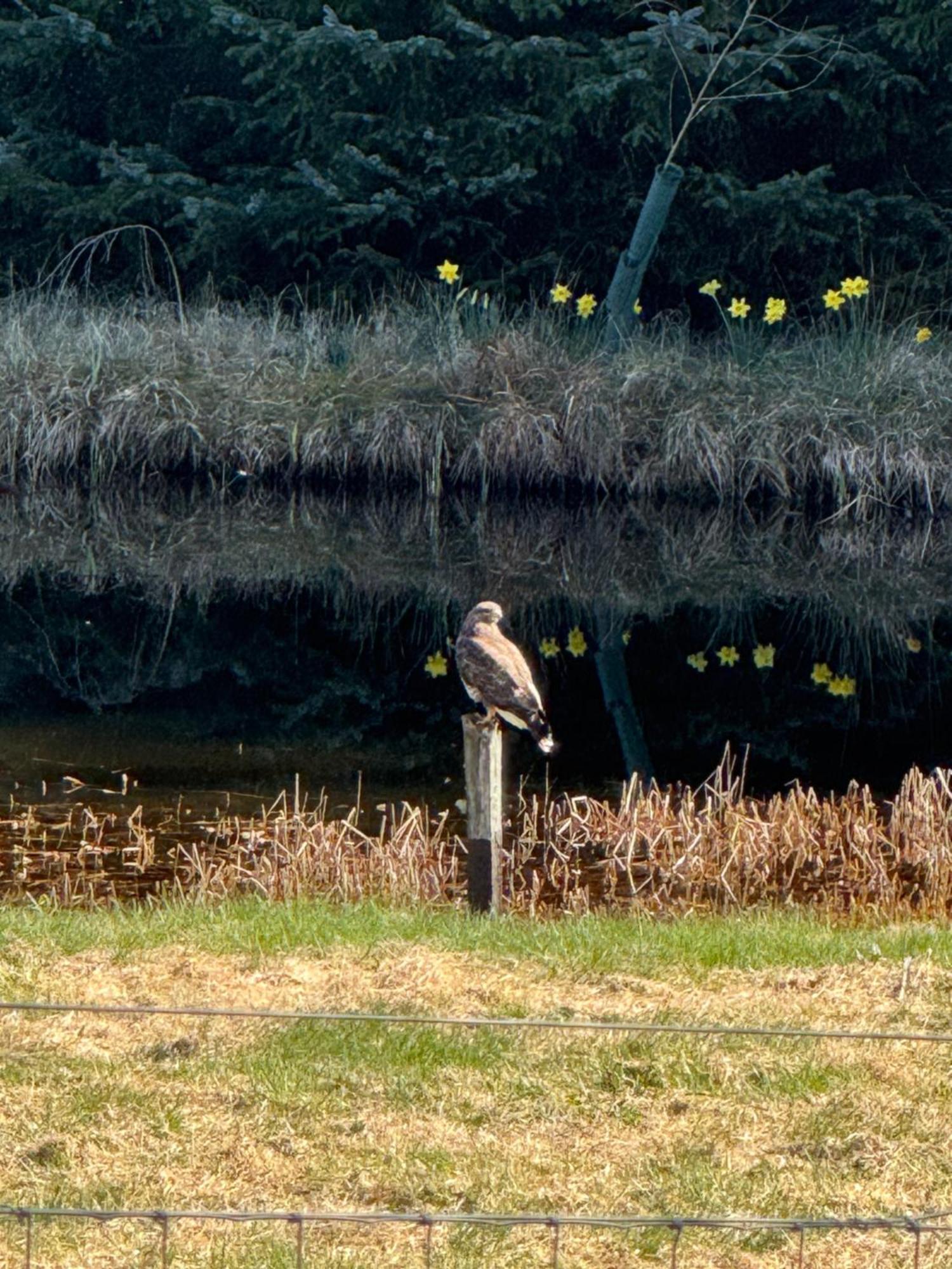 Willowbarn Rafford Self Catering Forres Buitenkant foto